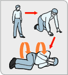[Image: expl_vis_drop_roll2.gif]
